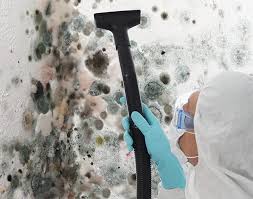 Best Industrial Mold Remediation  in Elburn, IL